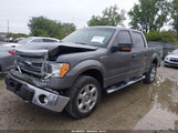 Ford F-150 Xlt 1FTFW1EF0EKE89023 fotografie