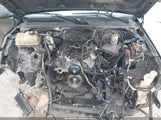 GMC Yukon Denali 1GKEK63U11J277516 снимка