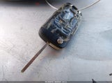 Miniaturka zdjęcia 11