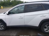 Hyundai Tucson Sel 5NMJBCAE8NH006985 fotografie