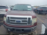 Ford F-150 King Ranch/Lariat/Platinum/Xl/Xlt 1FTPW12V99FB01379 fotografie
