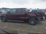 Ford F-150 King Ranch/Lariat/Platinum/Xl/Xlt 1FTPW12V99FB01379 снимка
