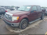 Ford F-150 King Ranch/Lariat/Platinum/Xl/Xlt 1FTPW12V99FB01379 fotografie