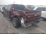 Ford F-150 King Ranch/Lariat/Platinum/Xl/Xlt 1FTPW12V99FB01379 fotografie