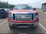 Ford F-150 Fx4/King Ranch/Lariat/Platinum/Xl/Xlt 1FTPW14V39FA52502 photo