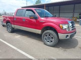 Ford F-150 Fx4/King Ranch/Lariat/Platinum/Xl/Xlt 1FTPW14V39FA52502 fotografie
