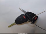 Miniaturka zdjęcia 11