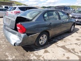 Chevrolet Malibu Ls 1G1ZT52855F146020 снимка