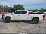 Chevrolet Colorado Wt 1GCGSBEN6K1354787 снимка