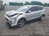 Ford Escape Titanium 1FMCU0JX7FUA99619 fotografie