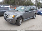 Ford Escape Xlt 1FMCU93719KC68888 снимка