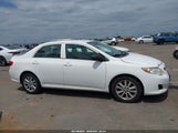 Toyota Corolla Le 1NXBU40E99Z165255 снимка