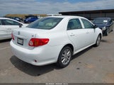 Toyota Corolla Le 1NXBU40E99Z165255 снимка