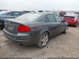 Acura Tl 19UUA66276A046987 снимка