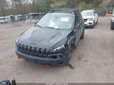 Jeep Cherokee Trailhawk 1C4PJMBS9GW299853 снимка