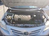 Toyota Corolla Le 2T1BU4EE4DC942427 fotografie