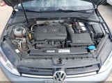 Volkswagen Golf Tsi S 4-Door 3VW217AU3GM055451 снимка