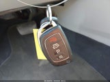 Miniaturka zdjęcia 11