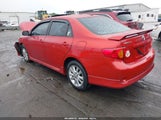 Toyota Corolla S 2T1BU4EE5AC292616 fotografie
