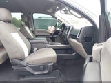Ford F-150 Xlt 1FTEX1EP1GFA97858 снимка
