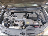 Toyota Camry Xle 4T4BF1FK3DR302792 снимка