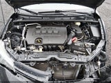 Toyota Corolla Le 2T1BURHE8JC033174 fotografie