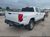 Chevrolet Colorado Wt, 4Wd 1GCPTBEK5T1100167 fotografie