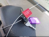 Miniaturka zdjęcia 11