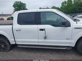 Ford F-150 Xlt 1FTEW1EGXFFC48455 снимка
