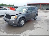 Ford Escape Xlt 1FMCU03709KA02726 снимка