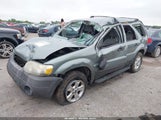 Ford Escape Xlt 1FMYU03165KA41428 fotografie