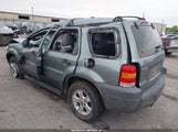 Ford Escape Xlt 1FMYU03165KA41428 fotografie