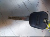Miniaturka zdjęcia 11