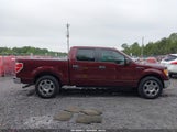 Ford F-150 Fx2 Sport/Harley-Davidson/King Ranch/Lariat/Platinum/Xl/Xlt 1FTFW1CV4AKE63240 photo