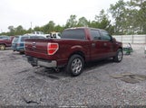 Ford F-150 Fx2 Sport/Harley-Davidson/King Ranch/Lariat/Platinum/Xl/Xlt 1FTFW1CV4AKE63240 снимка