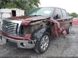 Ford F-150 Fx2 Sport/Harley-Davidson/King Ranch/Lariat/Platinum/Xl/Xlt 1FTFW1CV4AKE63240 снимка
