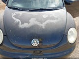 Volkswagen New Beetle Glx 3VWDD21CX1M465701 снимка