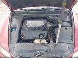 Miniaturka zdjęcia 10