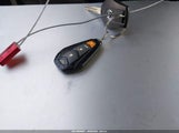 Miniaturka zdjęcia 11
