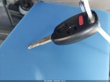 Miniaturka zdjęcia 11