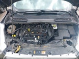 Ford Escape Se 1FMCU9GD2KUC00397 снимка