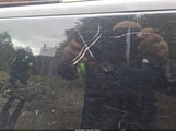 Chevrolet Colorado Wt 1GCGTBEN6H1251181 снимка