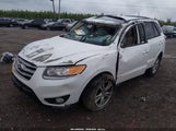 Hyundai Santa Fe Limited V6 5XYZK4AG7CG145894 fotografie