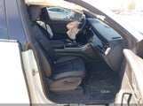 Audi Q8 55 Premium WA1EVAF10KD040422 снимка
