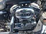 Harley-Davidson Xl1200 C 1HD1CGP175K457272 снимка