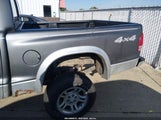 Dodge Dakota Slt 1D7HG48N93S158535 снимка