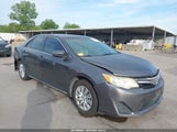Toyota Camry Le 4T4BF1FK7DR336430 photo