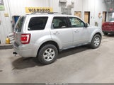 Ford Escape Limited 1FMCU9EG4AKD01464 снимка