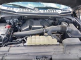 Ford F-150 Xlt 1FTEW1E4XLFA51237 fotografie