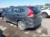 Honda Cr-V Lx 2HKRM4H34DH656907 photo
